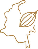 Colombian map with cacao 